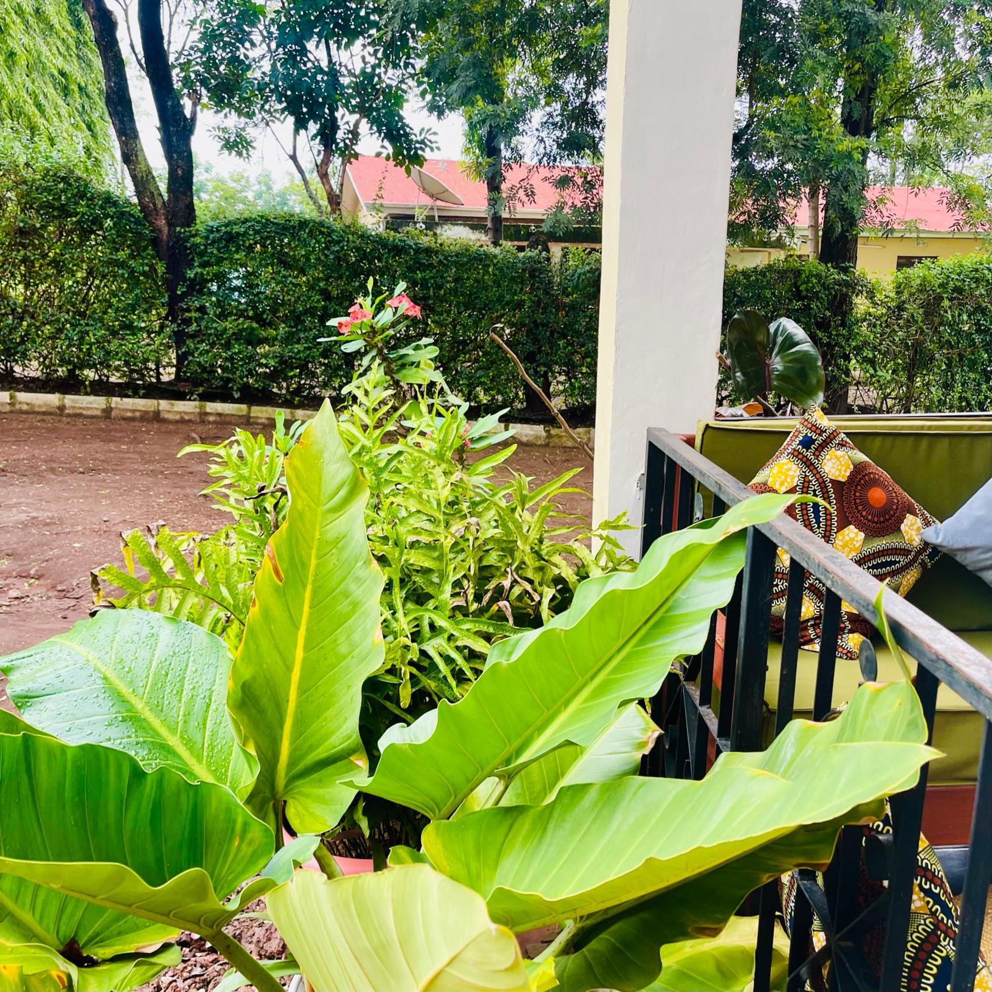 Sophie Homestay 모시 외부 사진